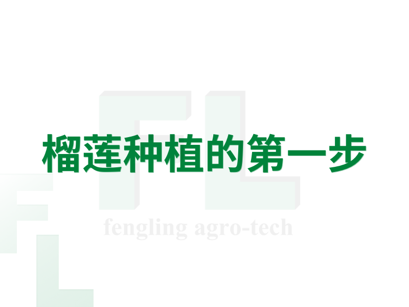 榴莲种植的第一步