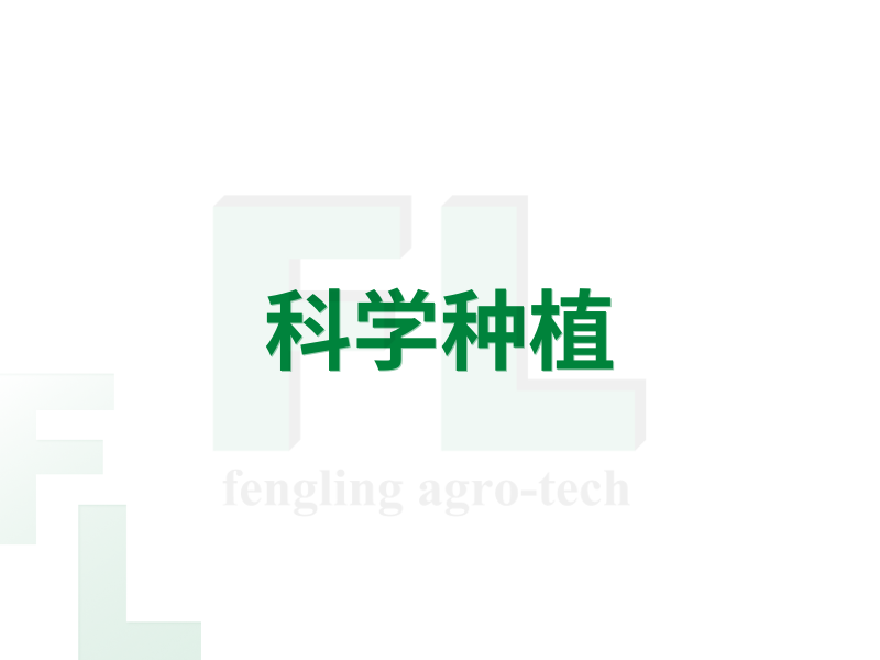 科学种植