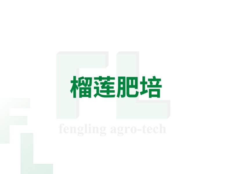 榴莲肥培
