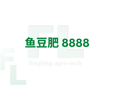 鱼豆肥 8888