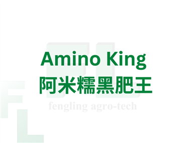 Amino King 阿米糯黑肥王