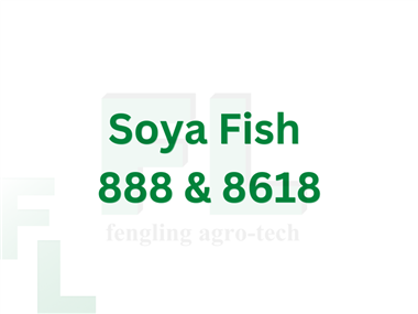 Soya Fish 888 & 8618
