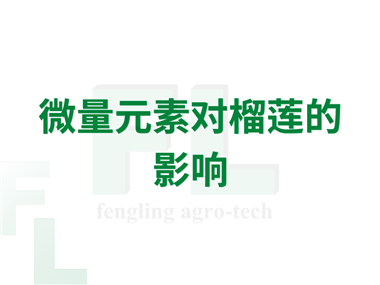 微量元素对榴莲的影响