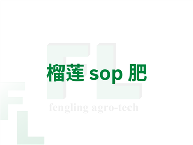 榴莲 sop 肥